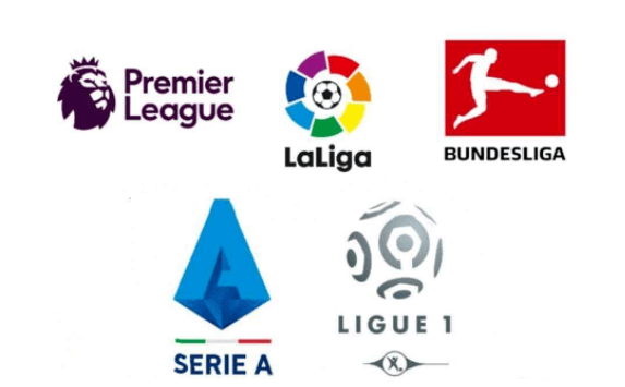 这种合作使 这种合作使